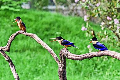 索尼表示现在评判PSVR2受欢迎程度还为时过早